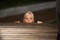 anna-faris-cachee-jpg