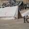 photo camp Aisheen - Aisheen (Chroniques de Gaza) 