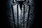 affiche-teaser-amazing-spider-man-jpg