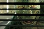 le-lezard-jpg