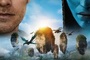 Affiche du film Avatar 3 