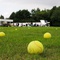 Balles de tennis - Dikkenek 
