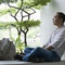 apichatpong weerasethakul - Oncle Boonmee, celui qui se souvient de ses vies antérieures 