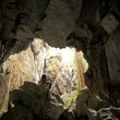 oncle boonmee dans la grotte