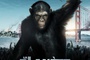 Affiche du film La planète des singes : Les origines 