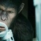 andy-serkis-jpg - La planète des singes : Les origines 
