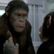 cesar-le-singe-jpg