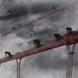 des-singes-sur-un-pont-jpg