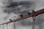 des-singes-sur-un-pont-jpg