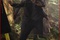 james-franco-protegeant-andy-serkis-jpg