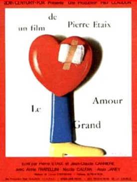 Affiche du film Le grand amour 