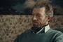 Vincent Cassel 2
