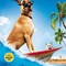Affiche du film Marmaduke  - Marmaduke 