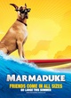 affiche promotionnelle