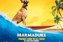 affiche promotionnelle