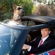 marmaduke et lee pace