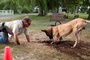 marmaduke lors du tournage