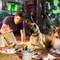 tom dey r  alisateur - Marmaduke 