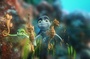 samy et ses amis