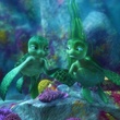 shelly et samy
