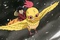 luffy-en-vol-jpg