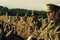 banniere-cheval-de-guerre-jpg