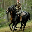 cavalier-cheval-de-guerre-jpg