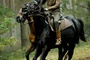 cavalier-cheval-de-guerre-jpg