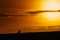 cheval-de-guerre-au-crepuscule-jpg
