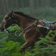 cheval-de-guerre-cheval-jpg