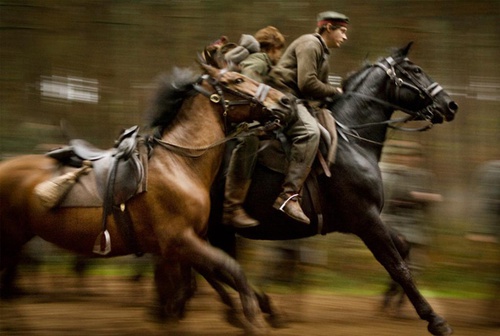 cheval-de-guerre-course-de-chevaux-jpg
