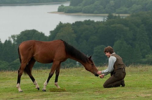 jeremy-irvine-et-son-cheval-jpg