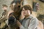 jeremy irvine et son cheval
