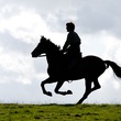 photo du film cheval de guerre