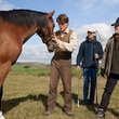 tournage-cheval-de-guerre-jpg