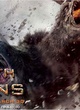 poster-promotionnel-4-jpg