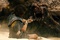 sam-worthington-face-a-un-monstre-jpg