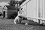 chien-jpg