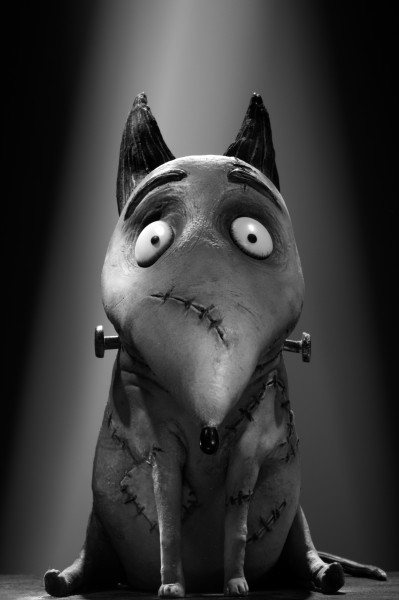 sparky-jpg