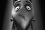 sparky-jpg