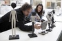 tim-burton-verifie-jpg