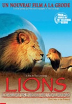 Affiche miniature du film Lions, combat de rois au Kalahari