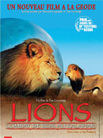 Affiche du film Lions, combat de rois au Kalahari