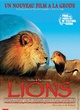 Affiche du film Lions, combat de rois au Kalahari