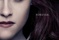affiche-teaser-stewart-png