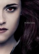 affiche-teaser-stewart-png