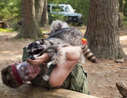 brendan fraser attaqu   par un raton laveur