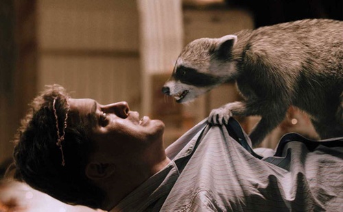 un raton laveur menace brendan fraser