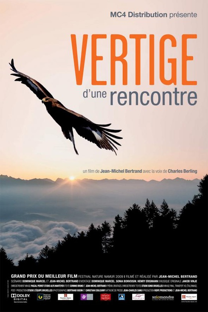 Affiche du film Vertige d'une Rencontre 
