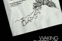 Affiche du film Walking Sleeping Beauty 